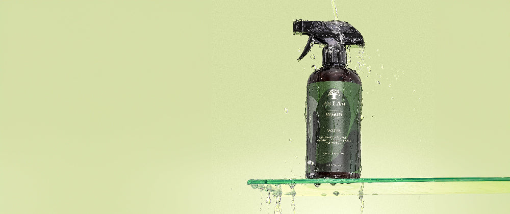 Spray bottle on a green background