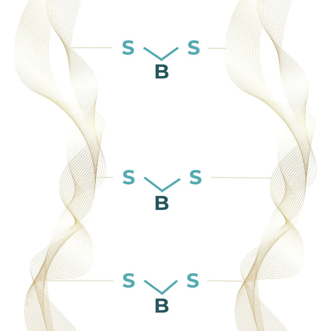 Decorative design with wavy lines and 'S B' text on a light background