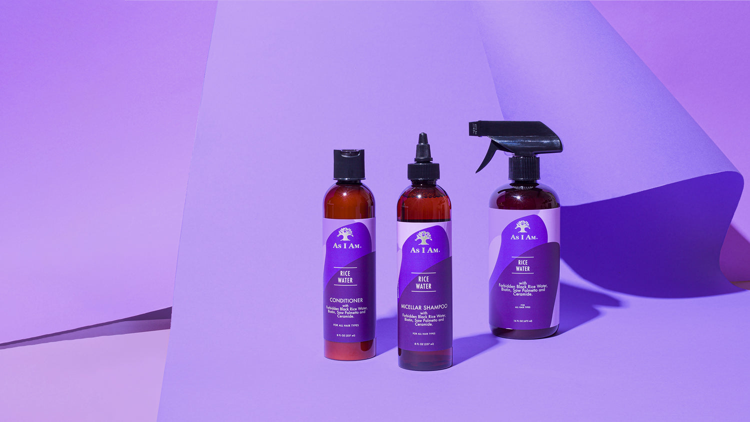 rice water collection purple background